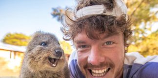 Meet Allan Dixon, the Animal Whisperer With the Best Animal Selfies