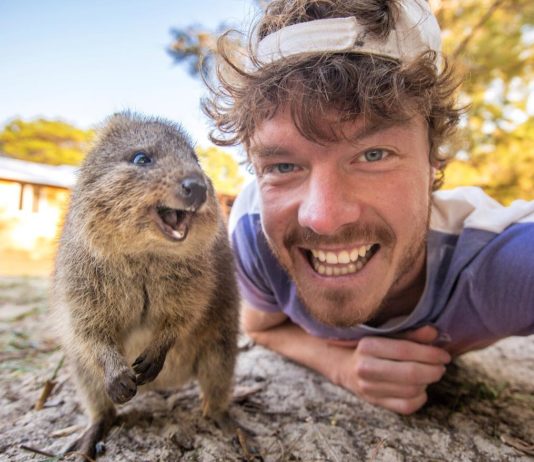 Meet Allan Dixon, the Animal Whisperer With the Best Animal Selfies