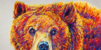 Artist Paints Wildlife With a Twist