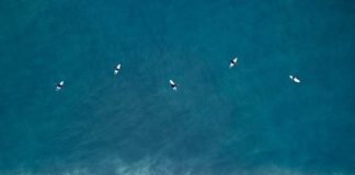 Photographer Captures the Uncontrollable Beauty of Ocean Waves