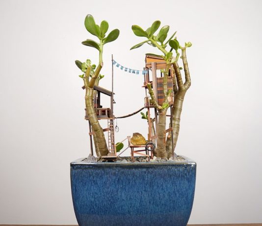 Man Builds Impressive Miniature Tree Houses around Houseplants