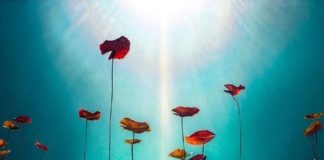 Mexican Artist Deals With Depression Through Photography