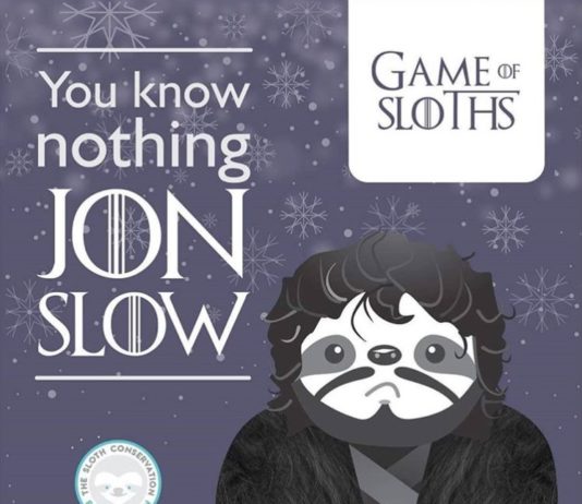 Check Out the Remarkable “Game of Sloths”