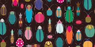 Adorable Botanical Patterns by Carole Fenwick