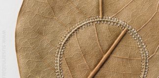 Artist Upcycles Old Leaves By Creating Crochet Embellishments Around Them