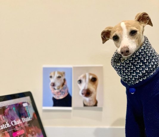 Hipster Alert! Meet the Trendiest Dog on Instagram