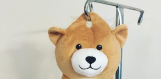 12-Year-Old Girl Invents Teddy Bears That Hide IV Bags