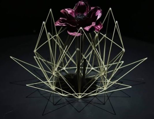 Artist Uses Spaghetti To Create Amazing Structures