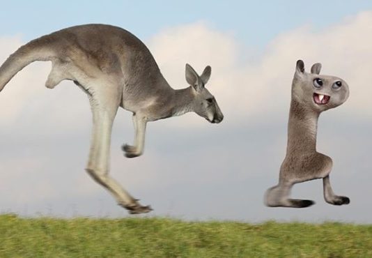 Dad Creates Realistic Images of His Kids’ Drawings