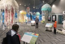 Artist Makes Animal Sculptures Out of Trash