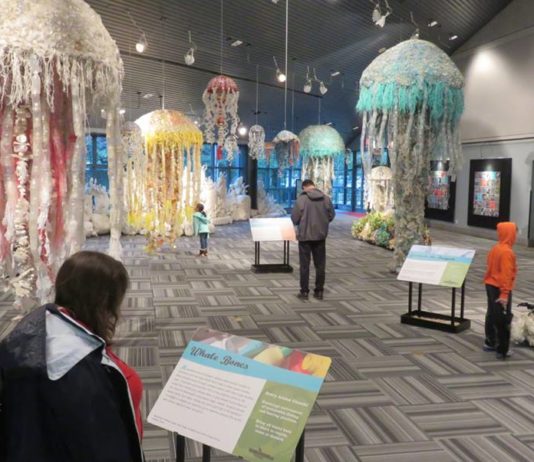 Artist Makes Animal Sculptures Out of Trash