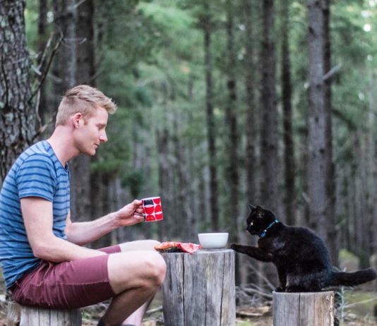 Meet Richard East And His Van Life With His Cat Willow