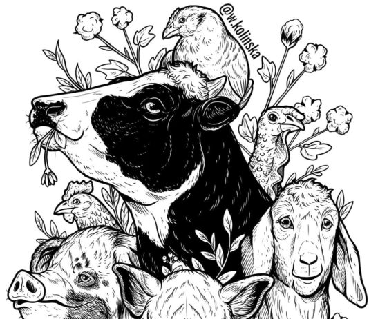 Artist Uses Work to Send Messages About Sustainability and Being Eco-Friendly