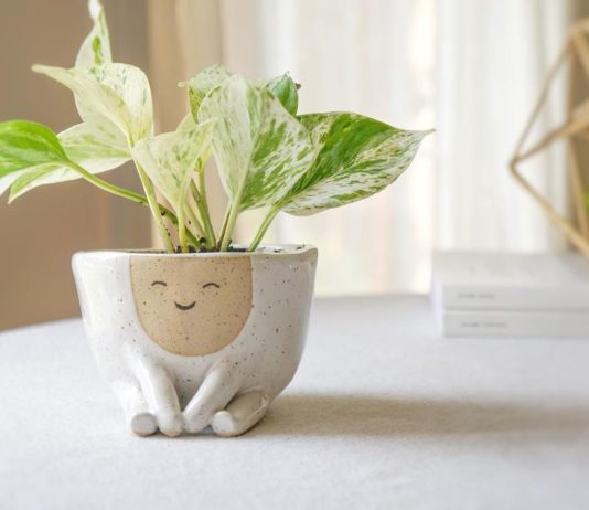 These Cute Smiling Planters Will Make Your Day