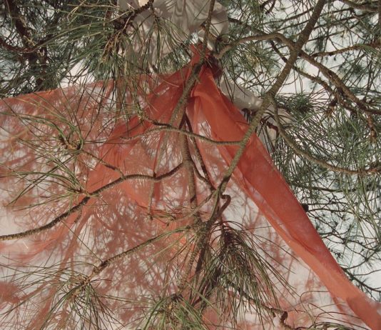 Renate Ariadne van der Togt’s Portraits Are Somewhat Surreal