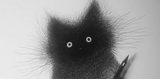 Illustrator Creates Intricate Drawings Using Hundreds Of Hatched Lines