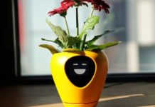 Lua is a Personified Planter That Will Inform You What Your Plant Needs