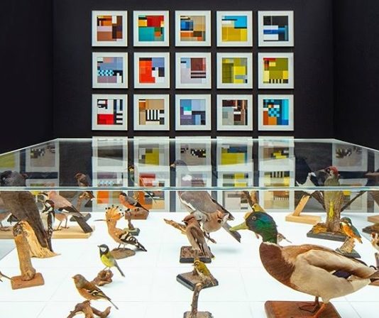 Studio 212 Fahrenheit Turns Birds Into Illustrations