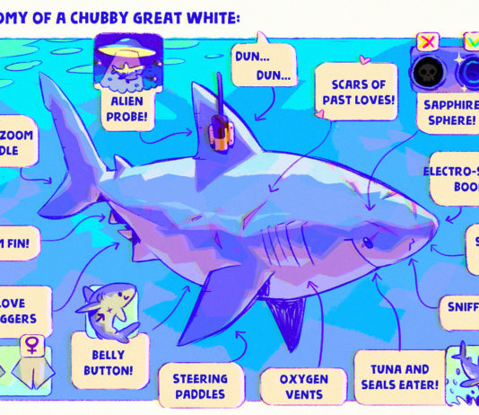 These Cute Shark Illustrations Will Change The Way You See Sharks Cute Shark Illustrations