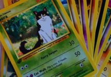 Artist Turns Pets Into Geeky Pokemon Cards Pet Pokemon Cards