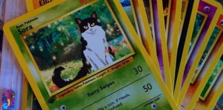 Artist Turns Pets Into Geeky Pokemon Cards Pet Pokemon Cards