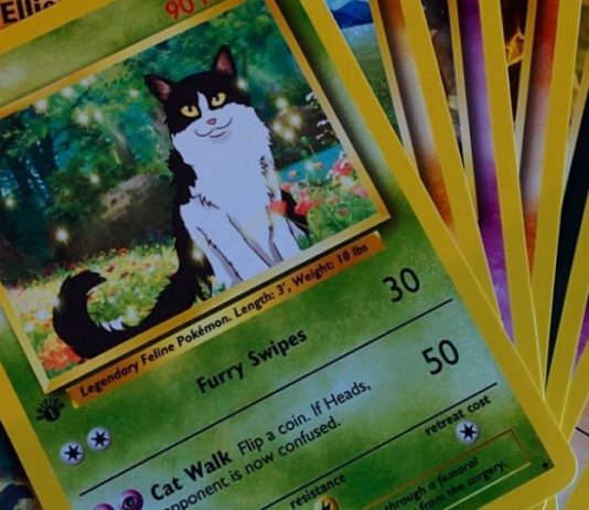 Artist Turns Pets Into Geeky Pokemon Cards Pet Pokemon Cards