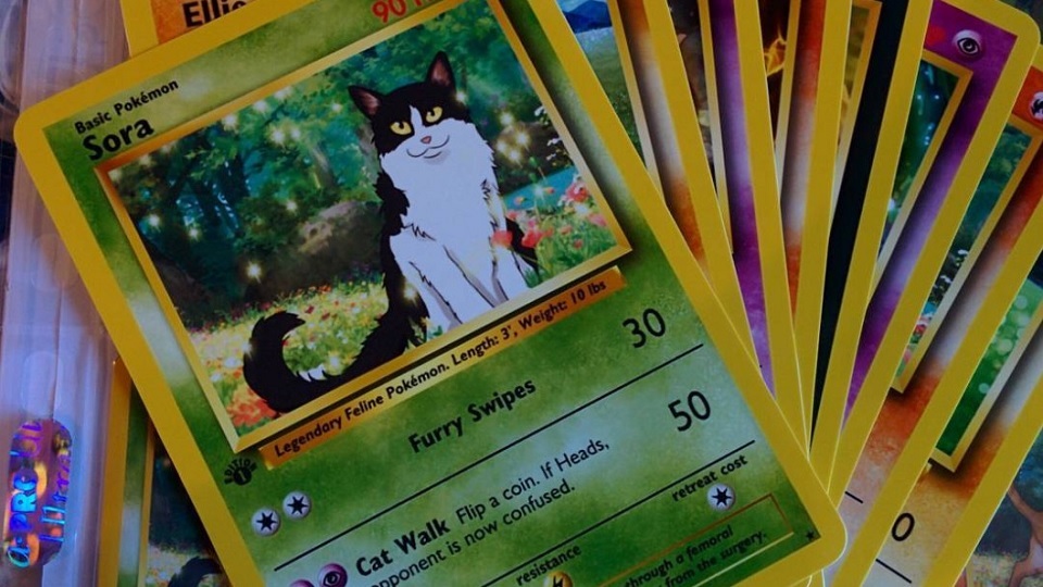 Artist Turns Pets Into Geeky Pokemon Cards - PlayJunkie Artist Turns Pets Into Geeky Pokemon Cards - PlayJunkie
