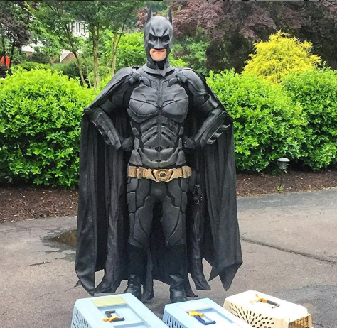 Guy Dresses Up as Batman to Rescue Animals In Need