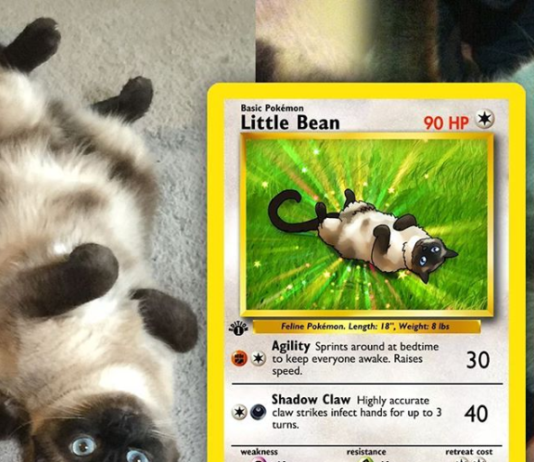Artist Transforms Pets Into Pokémon Characters