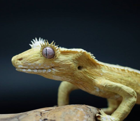 Paper Artist Makes Realistic Sculptures From Crepe Paper