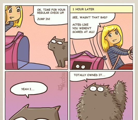 Check Out This Hilarious Comics About a Black Cat