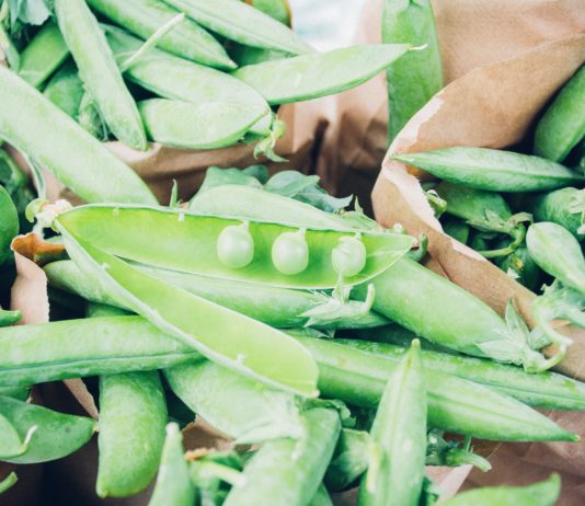 Follow Slow Food International to Learn About Good, Clean Food