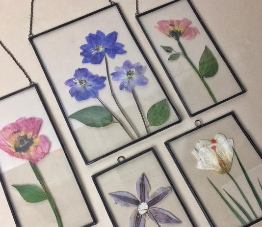 Artist Creates Unique Herbarium Art Frames