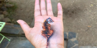 Girl Paints 3D Images On Her Left Palm