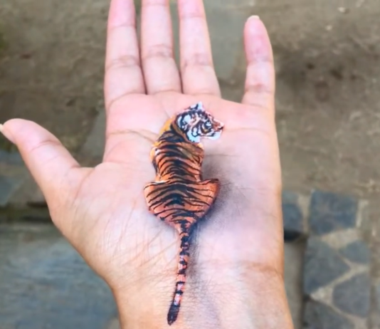 Girl Paints 3D Images On Her Left Palm