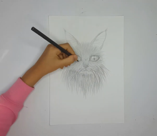 Girl Created a YouTube Channel to She Can Draw Because Nobody Believed Her