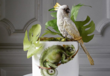 Artist Uses Cake As Her Canvas