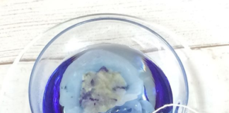 The Entire Ocean – Right In Your Mug