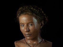 Archeologist Sculpts the Humans of the Past