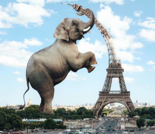 Giant Animals Invade Cities around the World in the Works of This Russian Artist