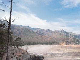 Greenpeace’s EarthApp Shows Terrifying Consequences of Climate Change