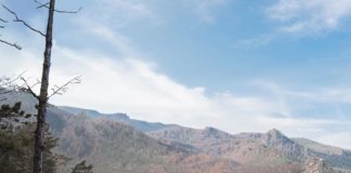 Greenpeace’s EarthApp Shows Terrifying Consequences of Climate Change