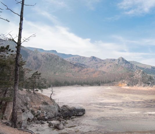 Greenpeace’s EarthApp Shows Terrifying Consequences of Climate Change