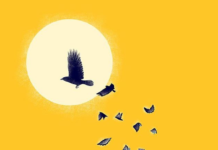 Artist Illustrates Famous Quotes