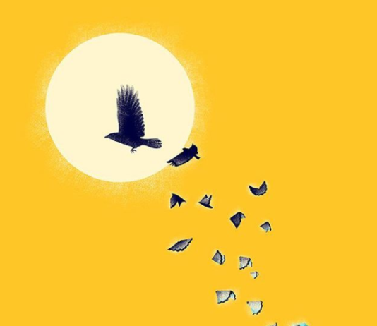 Artist Illustrates Famous Quotes