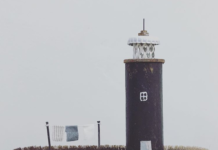 Kirsty Elson Creates Original Artwork out of Driftwood