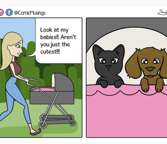 Sarah Harmon Illustrates the Life of a Pet Owner