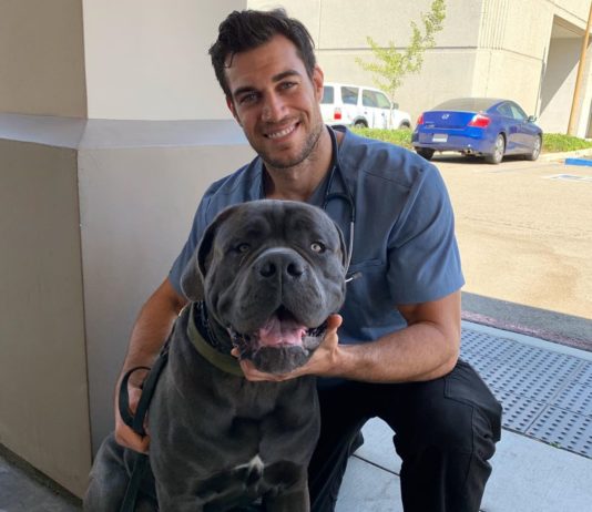 Meet the Most Popular Veterinarian in the World