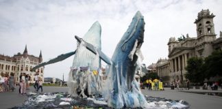Greenpeace Activist Makes a Sculpture of Whales to Warn About Water Polluting