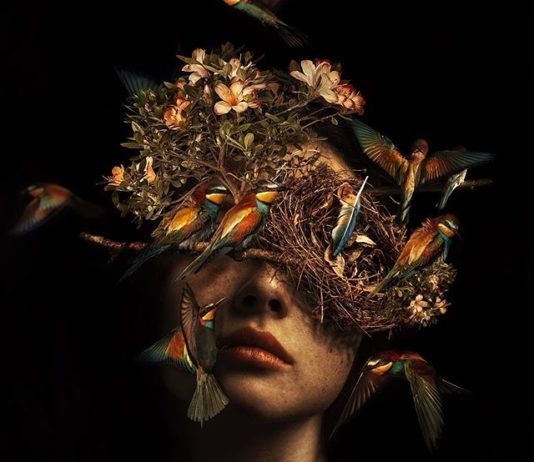 Marcel Van Luit’s Whimsical Images Will Brighten Up Your Day